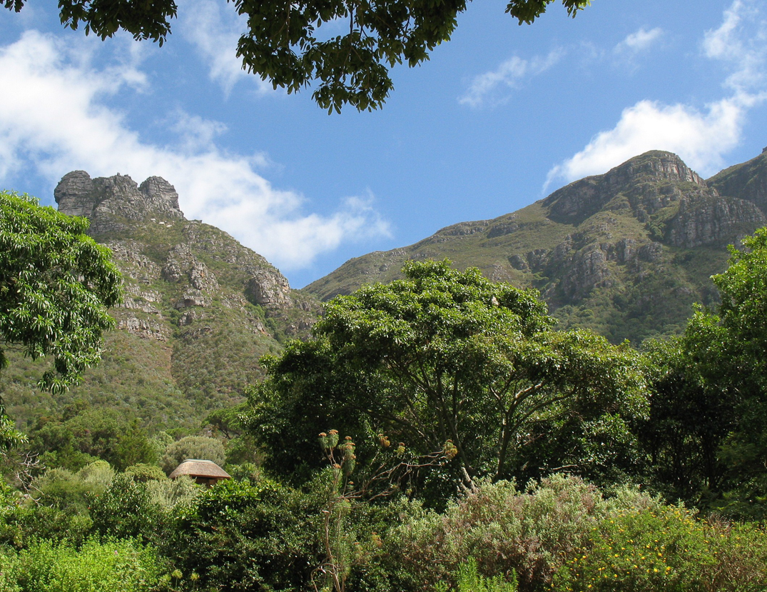 Jardin botanique de Kirstenbosch