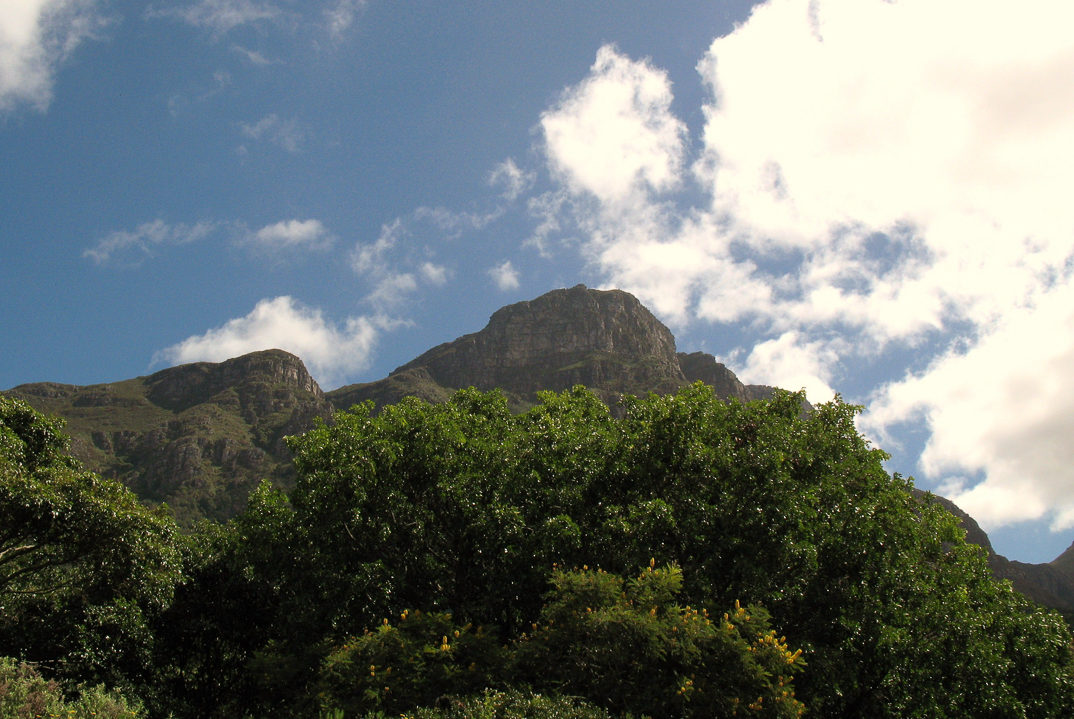 Jardin botanique de Kirstenbosch