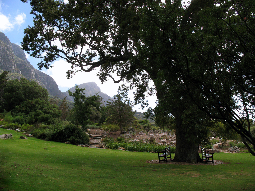Jardin botanique de Kirstenbosch