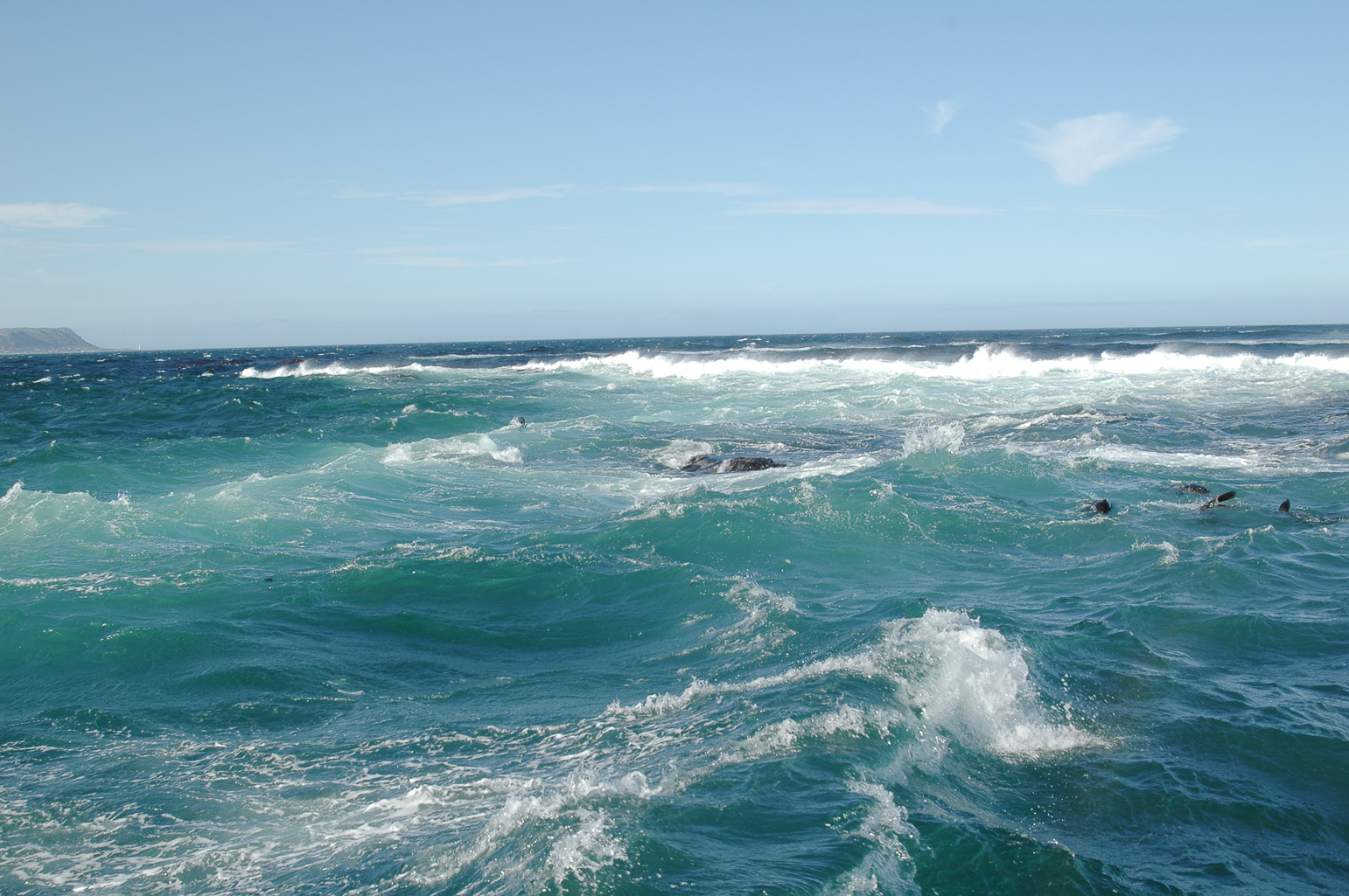 Pendant la croisière à l'ile aux phoques