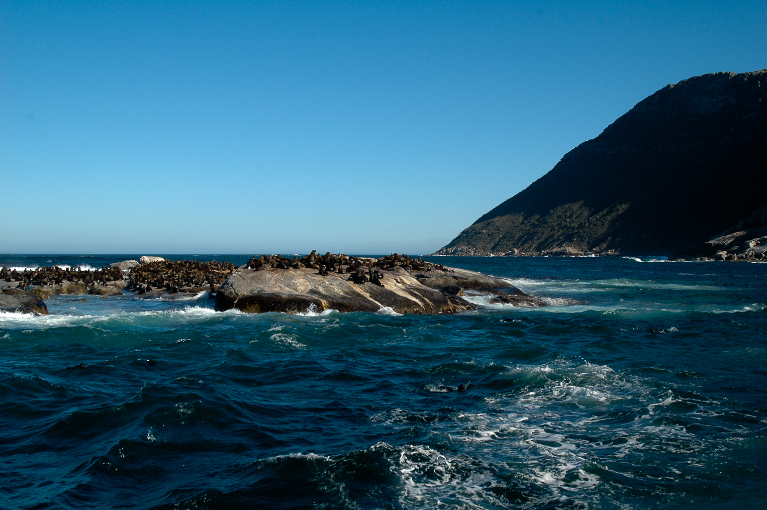Pendant la croisière à l'ile aux phoques