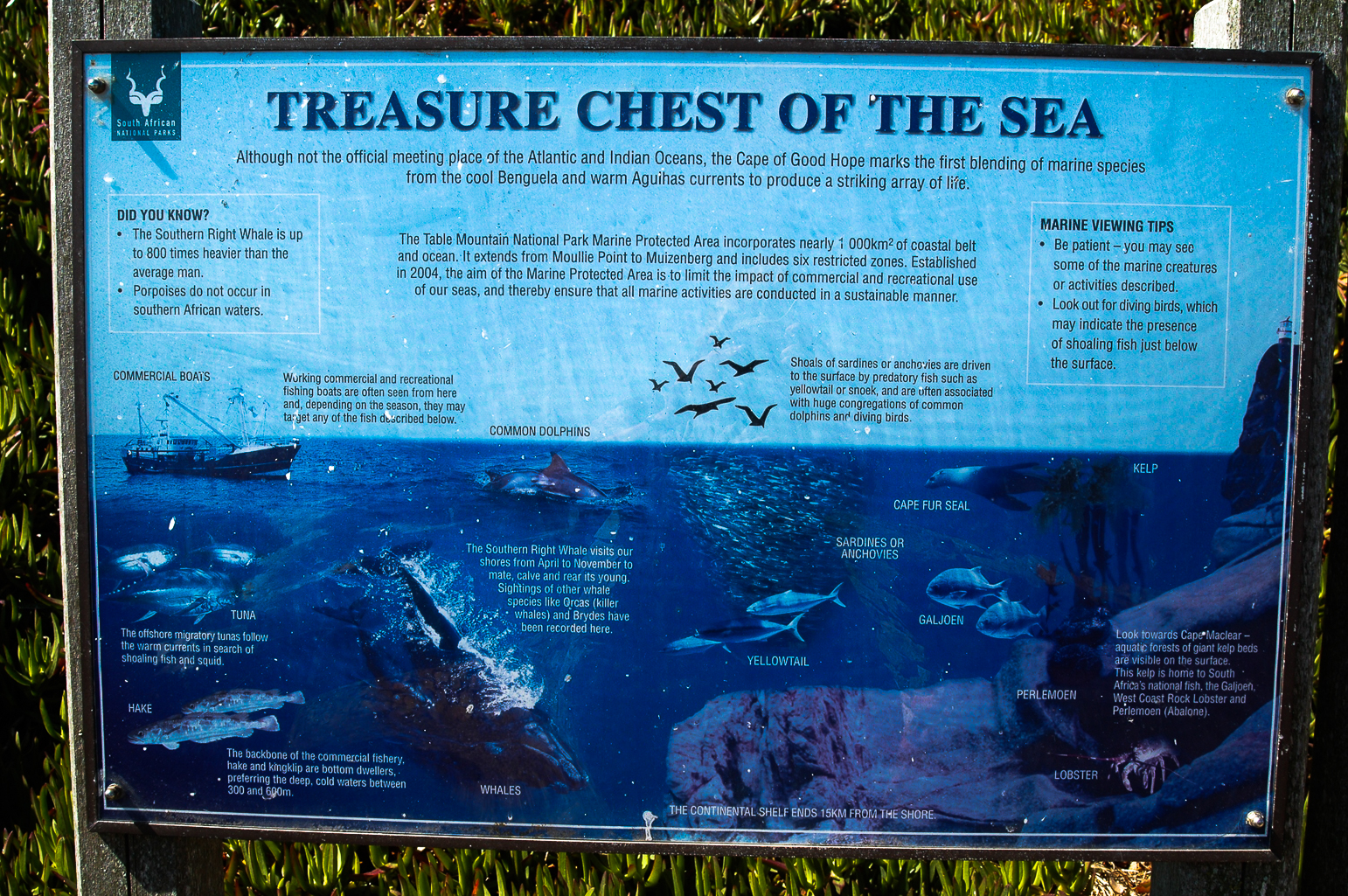 Au Cap de Bonne Espérance ...