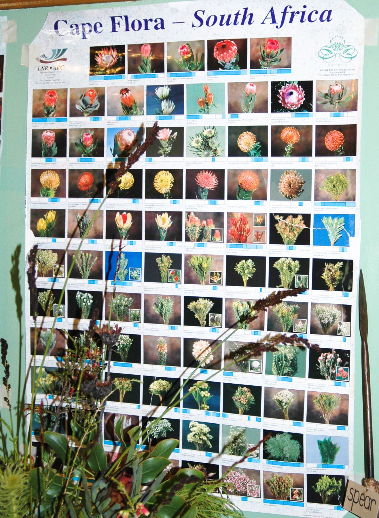 Stellenbosh - Uguenot memorial museum