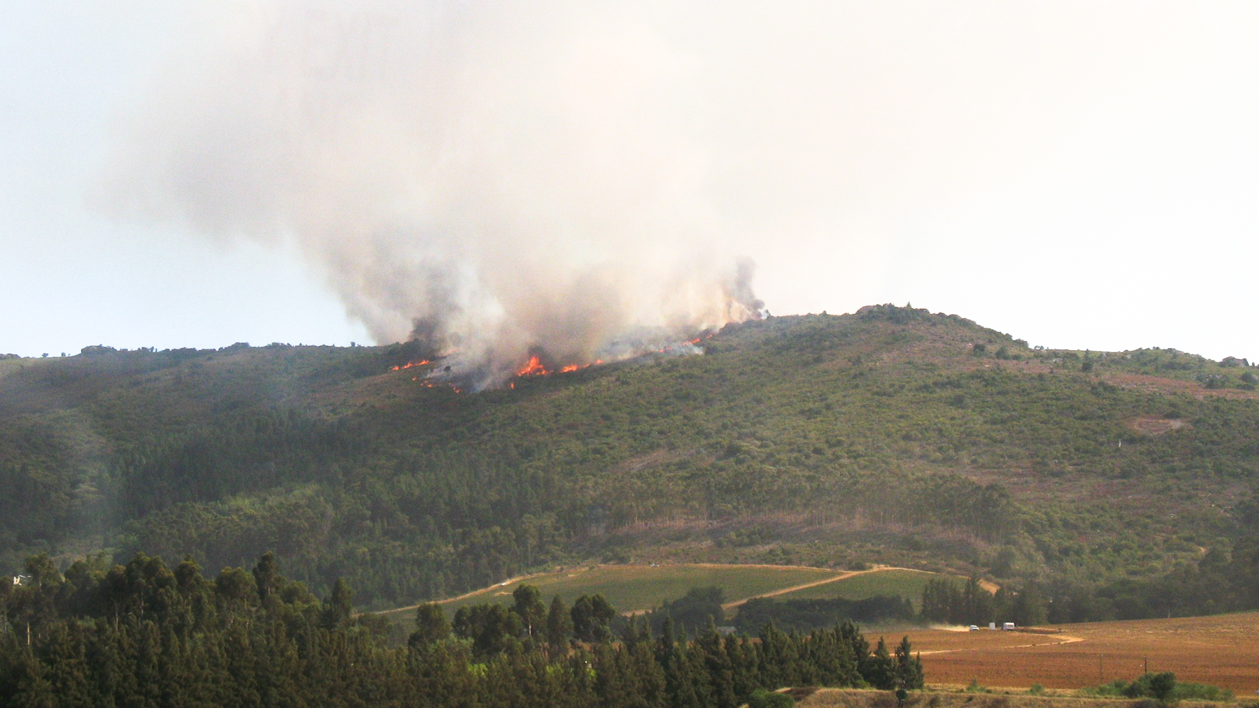 Un incendie sur la route des vins ..